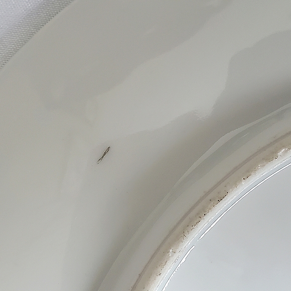 Royal Rudolstadt Prussia Handpainted Plate with White Flowers - Picture 4 of 10